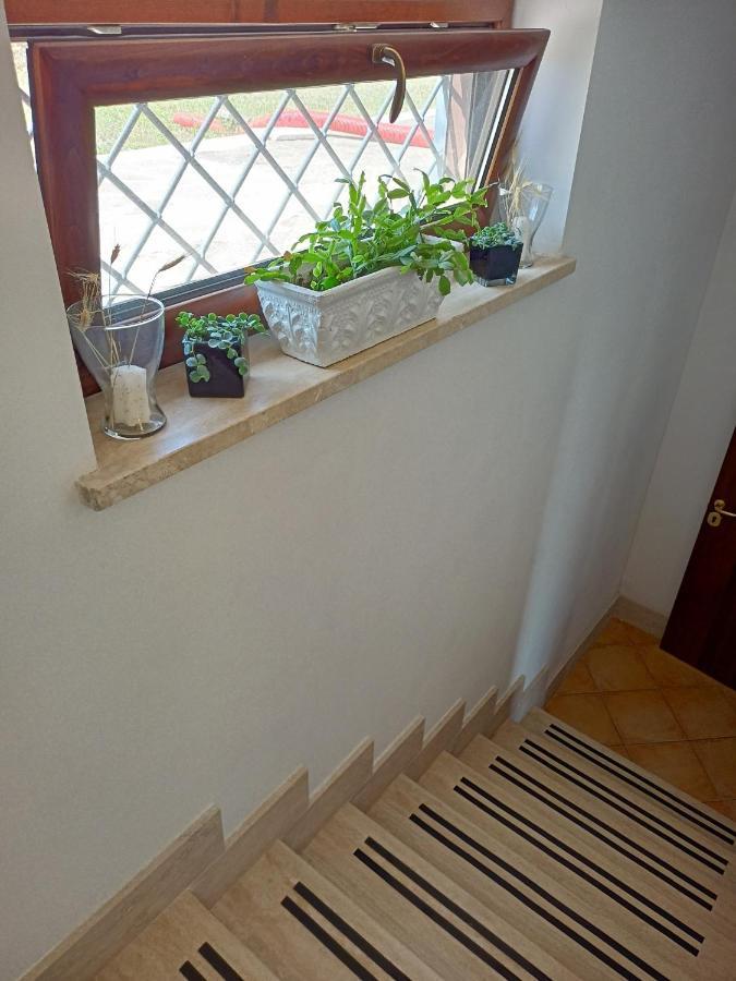 Il Faggio 17 B&B Artena Eksteriør billede