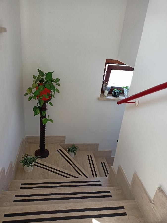 Il Faggio 17 B&B Artena Eksteriør billede