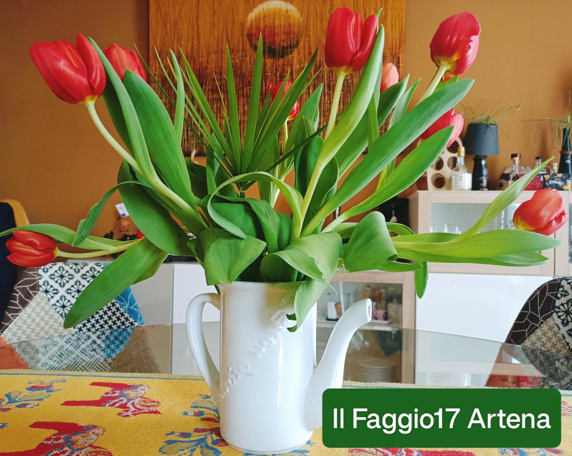 Il Faggio 17 B&B Artena Eksteriør billede