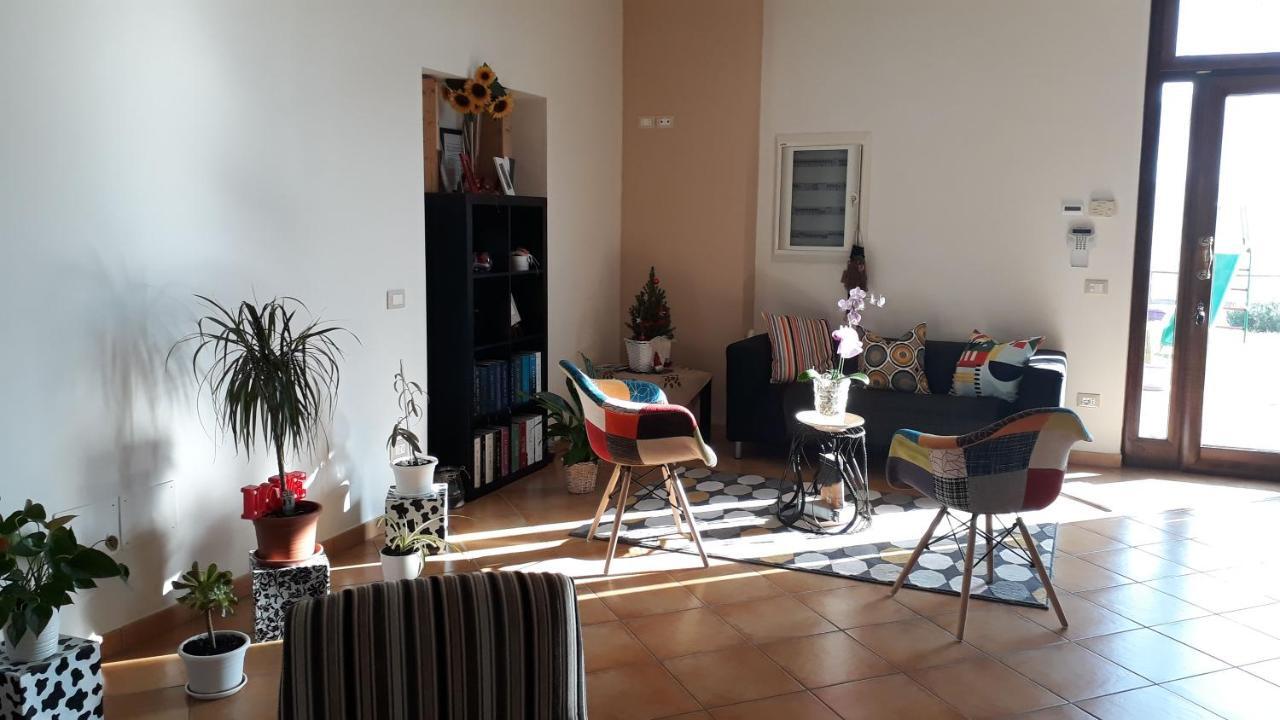 Il Faggio 17 B&B Artena Eksteriør billede